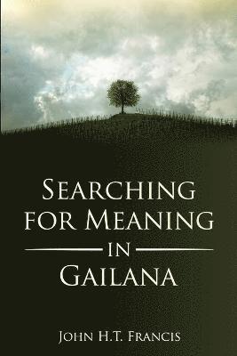 bokomslag Searching for Meaning in Gailana