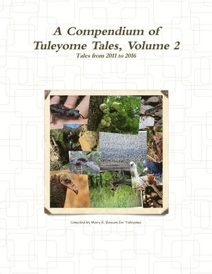 bokomslag A Compendium of Tuleyome Tales, Volume 2