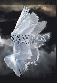 bokomslag Six Wings