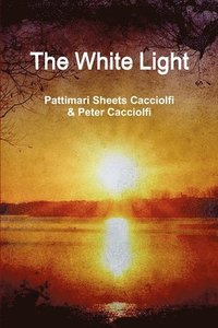bokomslag The White Light (Paperback)
