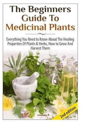 Lindsey P - Beginners Guide to Medicinal Plants, Inbunden