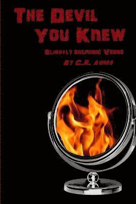 bokomslag Devil You Knew