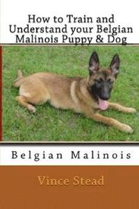 bokomslag How to Train and Understand Your Belgian Malinois Puppy & Dog