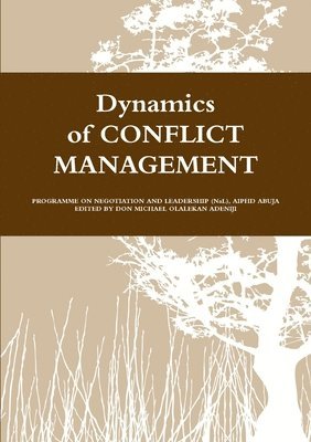 bokomslag Dynamics of Conflict Management I