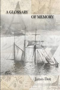 bokomslag Glossary of Memory