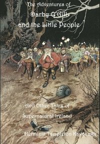 bokomslag The Adventures of Darby O'Gill and the Little People