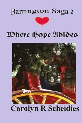 Carolyn R Scheidies, Carolyn R. Scheidies - Where Hope Abides, Häftad