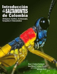 bokomslag Introduccion a Los Saltamontes De Colombia