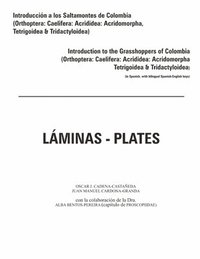 bokomslag Introduccion a los saltamontes de Colombia (Laminas-Plates)