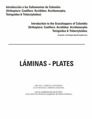 Introduccion a los saltamontes de Colombia (Laminas-Plates) 1