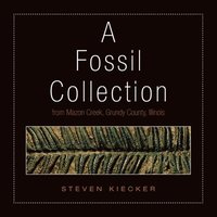 bokomslag Fossil Collection
