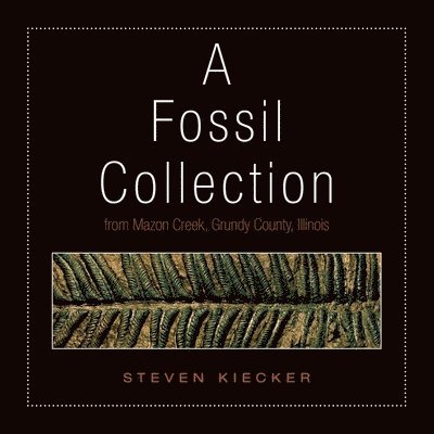 A Fossil Collection 1