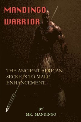 bokomslag Mandingo Warrior