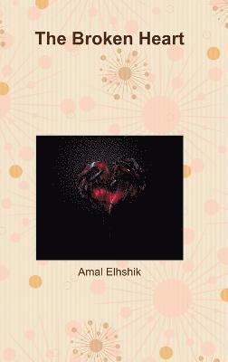 bokomslag Broken Heart