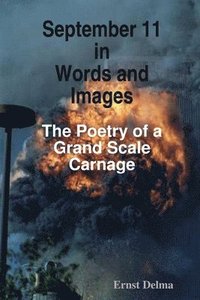 bokomslag September 11 in Words and Images - The Poetry of a Grand Scale Carnage