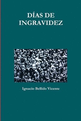 Ignacio Bellido Vicente - Dias De Ingravidez, Häftad