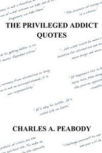 bokomslag Privileged Addict Quotes