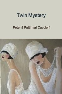 bokomslag Twin Mystery