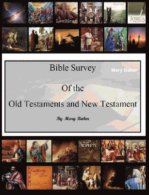 Bible Survey of the Old and New Testament
