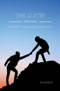 bokomslag 12 Step Intro Guide (Recovery Wisdom for Everyday Life)