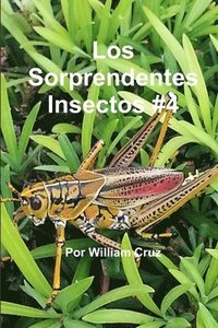 bokomslag Los Sorprendentes Insectos #4