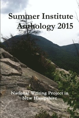 bokomslag Summer Institute Anthology 2015