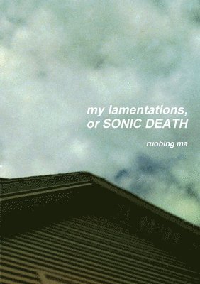 bokomslag My Lamentations, or Sonic Death