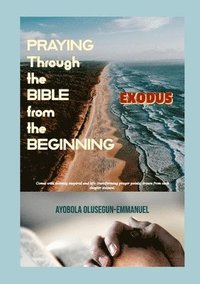 bokomslag Praying Through the Bible from the Beginning