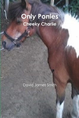 David James Smith - Only Ponies, Häftad