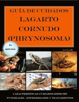 Gua de cuidados del lagarto cornudo (Phrynosoma) Versin econmica 1