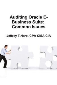 bokomslag Auditing Oracle E-Business Suite: Common Issues