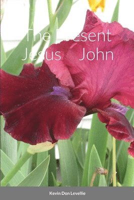 The Present Jesus John 1