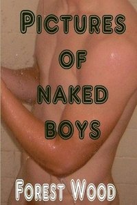 bokomslag Pictures of Naked Boys