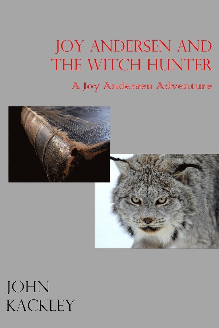 Joy Andersen and the Witch Hunter 1