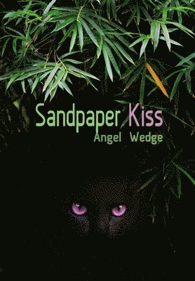 bokomslag Sandpaper Kiss