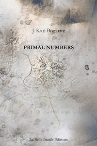 bokomslag Primal Numbers