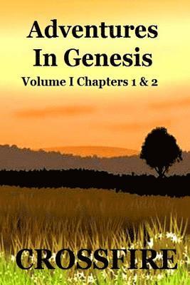 Adventures in Genesis 1