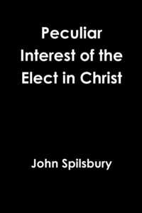 bokomslag Peculiar Interest of the Elect in Christ