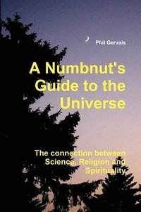 bokomslag Numbnut's Guide to the Universe (Paperback)