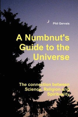 bokomslag A Numbnut's Guide to the Universe (Paperback)