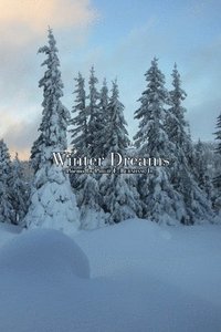 bokomslag Winter Dreams