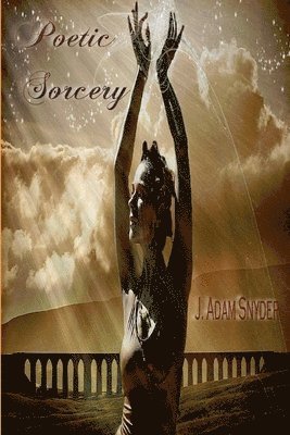 bokomslag Poetic Sorcery