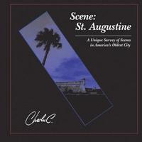bokomslag Scene: St. Augustine