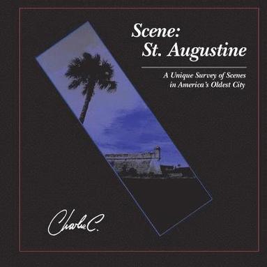bokomslag Scene: St. Augustine