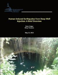 bokomslag Human-Induced Earthquakes from Deep-Well Injection: A Brief Overview