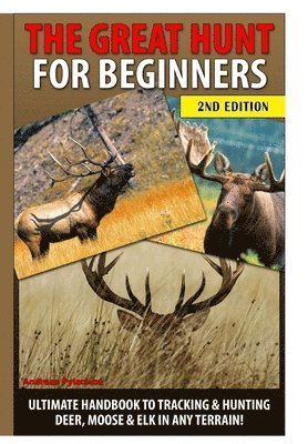 The Great Hunt for Beginners 1