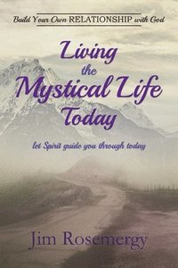 bokomslag Living the Mystical Life Today