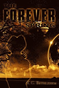 bokomslag The Forever Spring