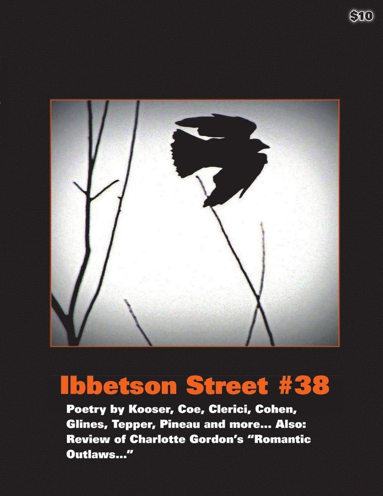 Ibbetson Street #38 1
