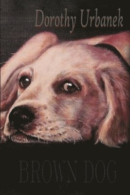 bokomslag Brown Dog